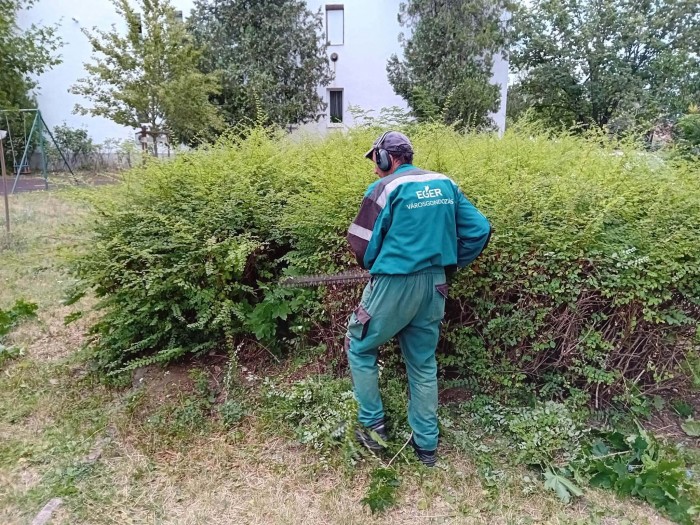 sövénynyírás városgondozás eger 