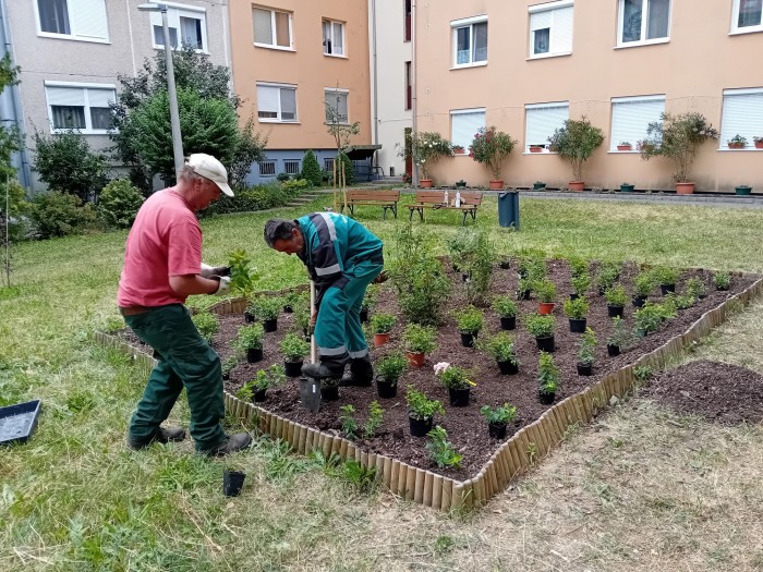 Rákóczi út évelő virágágyás