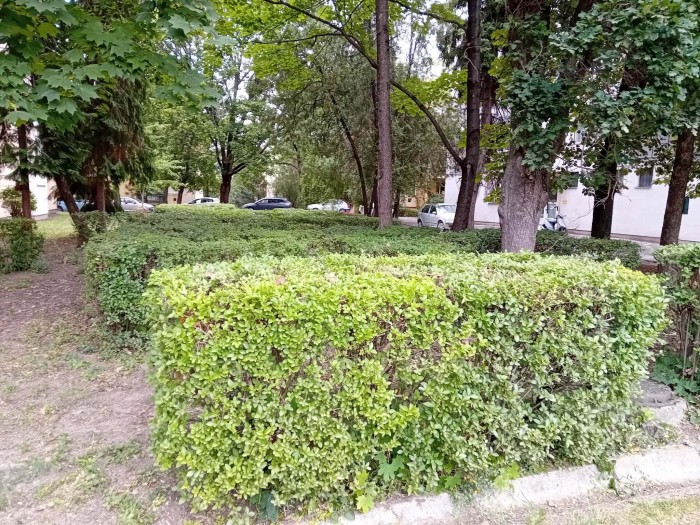 sövénynyírás városgondozás eger 
