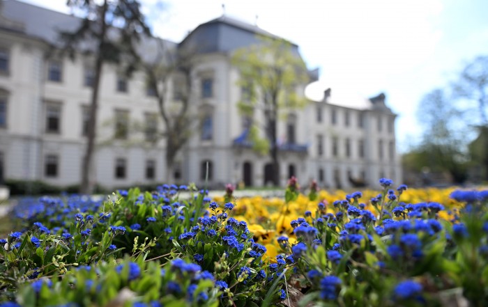 eger eszterházy tér kétnyári virágok 