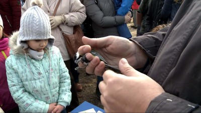 Ünnepi madárgyűrűzés az Érsekkertben