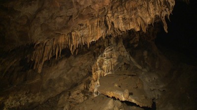 Barlangi élőhelyek megőrzése