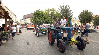 Szüret a Szépasszonyvölgyben