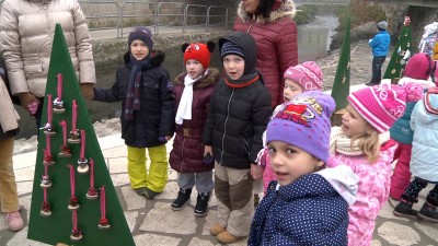 Ovisok fogadták örökbe a kis fenyőket