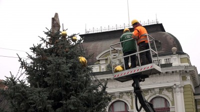 Ünnepi díszbe öltöztették a város karácsonyfáját