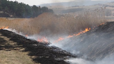 Több ezer hektár erdő égett le Heves megyében