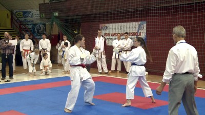 A shotokan karate az EVSI legeredményesebb szakosztálya