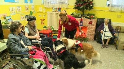 Terápiás kutyusok látogattak a Hospice osztályra