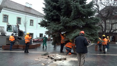 Felállították a város fenyőfáját a Dobó téren