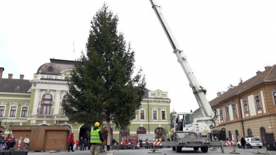 Megérkezett a karácsonyfa a Dobó térre