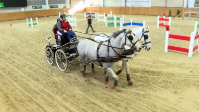 Fedeles Fogathajtó Versenyt rendeztek