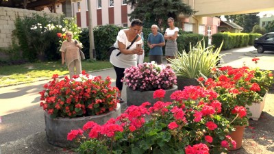 Virágos Egerért: augusztus végéig zajlik a zsűrizés