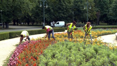 Városgondozás: a kánikulában sem áll meg a munka