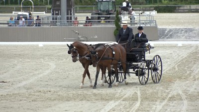 Ismét Nemzetközi Fogathajtó Versenyt rendeztek