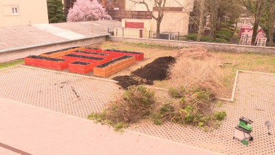 Közösségi kertet alakítottak ki a Civil Ház udvarán