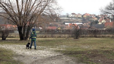 A Malomárok utcában lesz a kutyafuttató