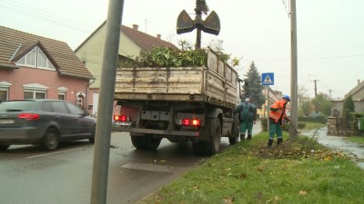 Visszatérő probléma az illegális zöldhulladék