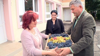 Szőlőadomány óvodáknak