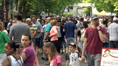 Hatalmas tömeg volt a 22. Egri Bikavér Ünnepen